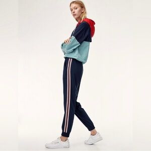 Aritzia Navy Joggers